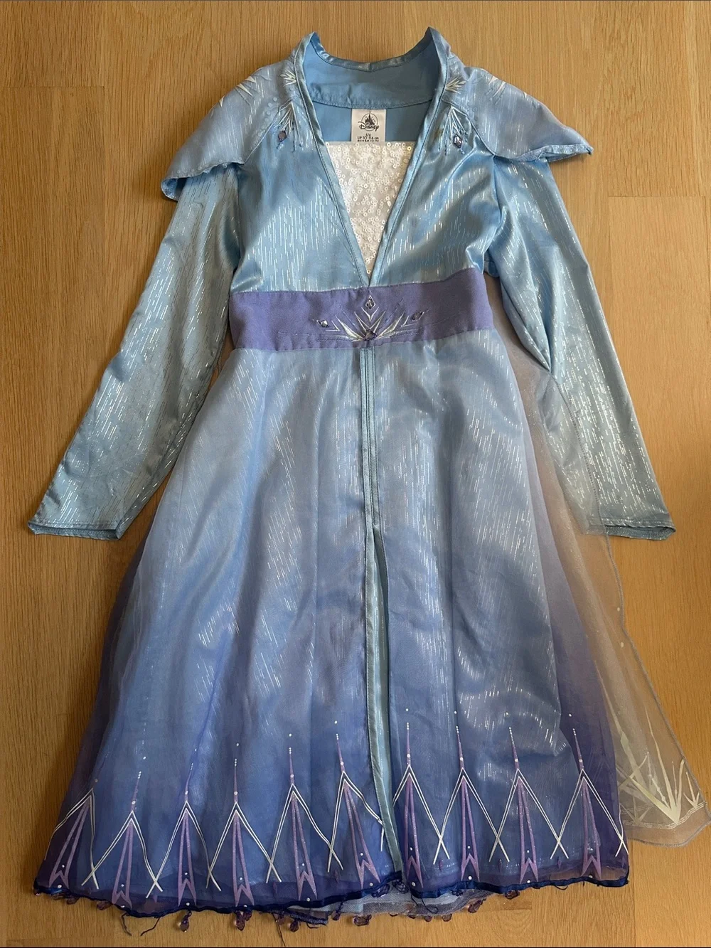 Disney Elsa Dress with Leggings